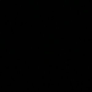 Meet your Posher, Irma